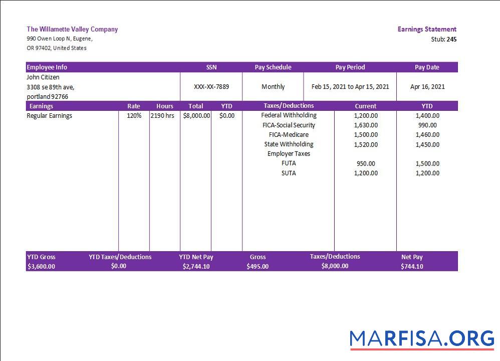 Downloadable USA OR pay stub example